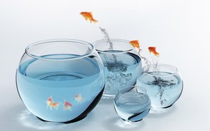 股权架构与企业管理：数字化转型的关键一环